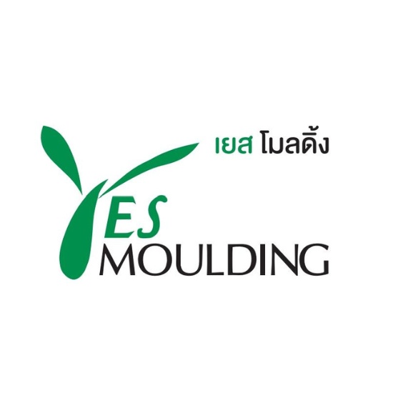 tesmouldng